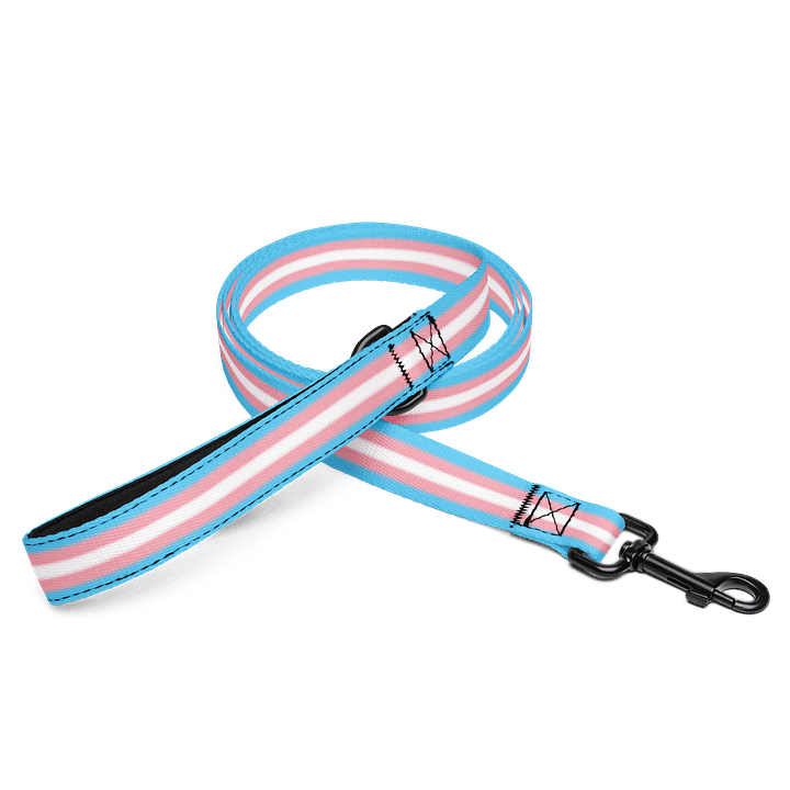 Trans Pride Flag Pet Leash product image (1)