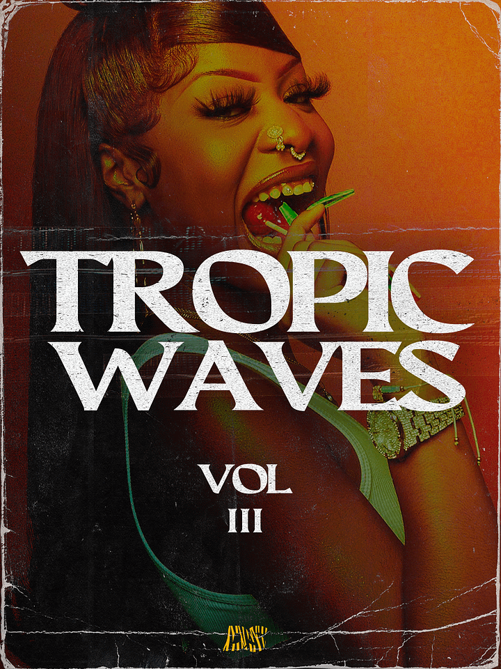 Tropic Waves III (Dancehall Shatta - Moombahton Melody pack) product image (1)