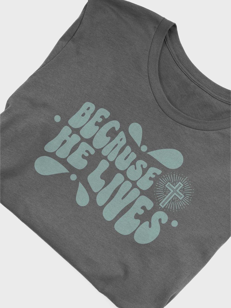 Because He Lives T-Shirt product image (17)