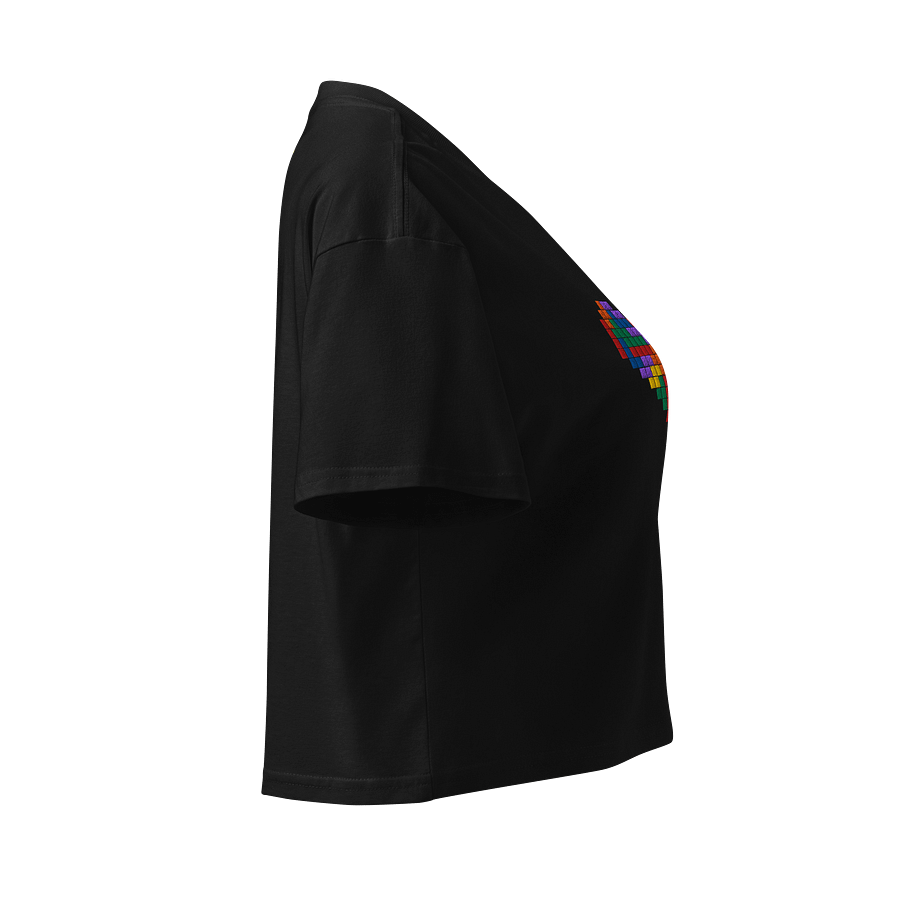 Rainbow Block Heart Embroidered Crop Top product image (3)