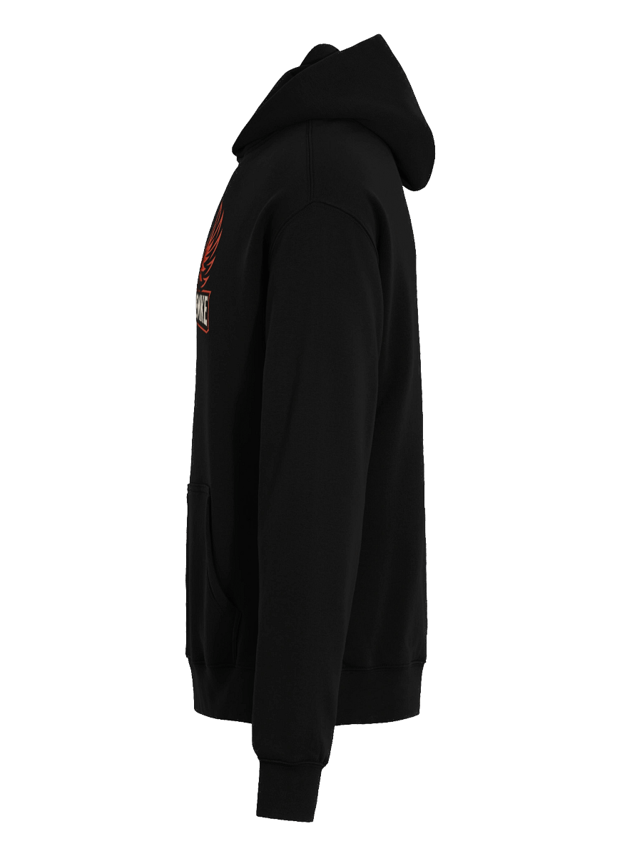 Pheonix Oversized Hoodie product image (7)