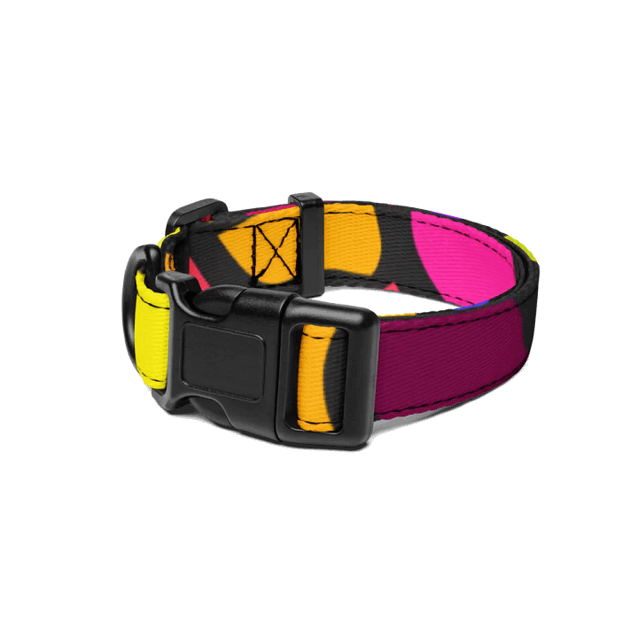 Vibrant Wave Pet Collar - Wave at Sunset product image (1)