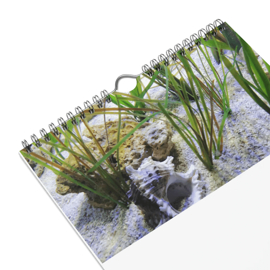 new years product image (8)