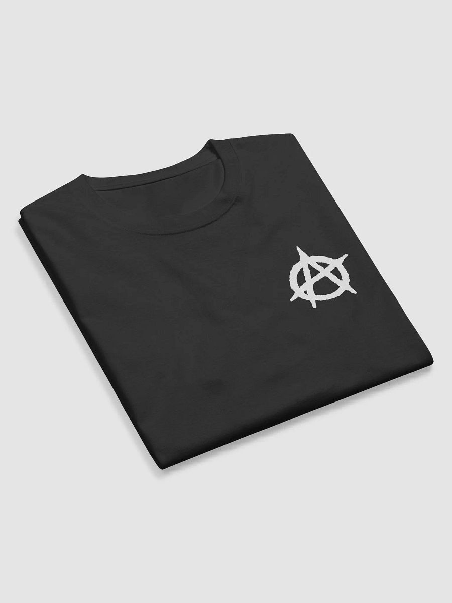 Apostle Studios Champion Longsleeve product image (6)