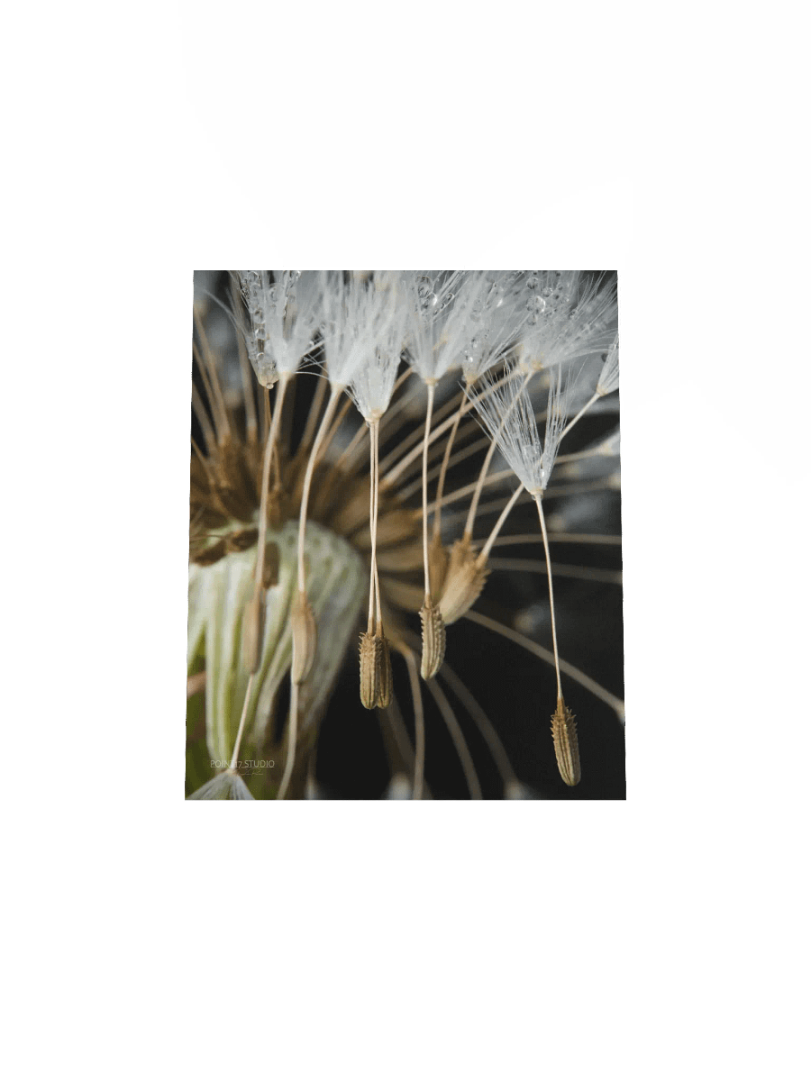 Rapture - Poster product image (7)