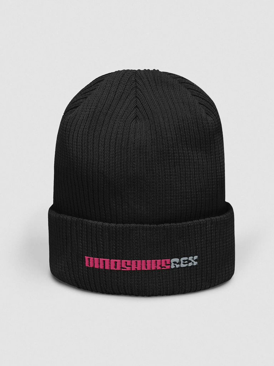Beanie product image (1)