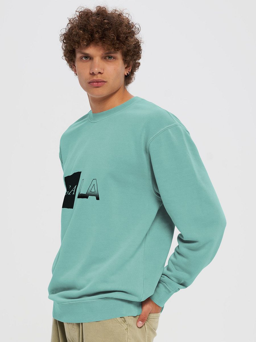 Unisex Midweight Pigment Dyed Sweatshirt product image (4)