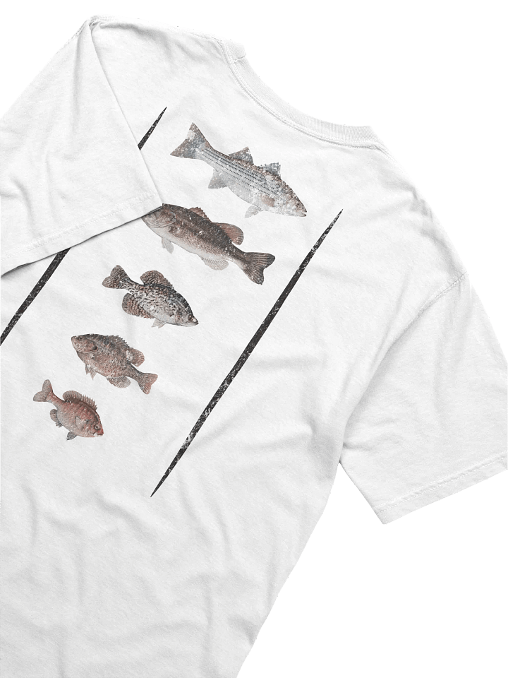 The Fish of Talquin product image (2)