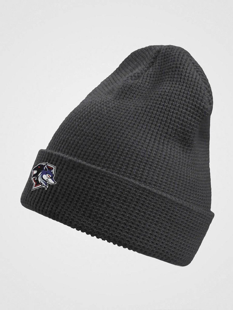 Raven Logo Waffle Beanie product image (7)