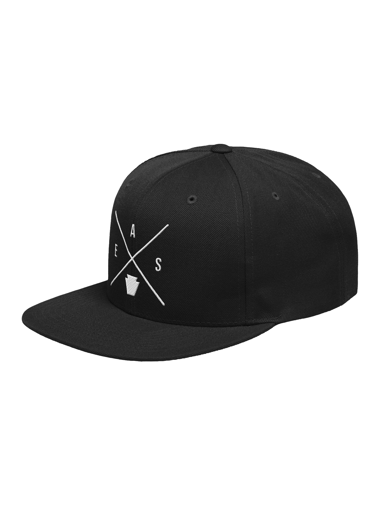 AES X Flatbrim Snapback product image (15)