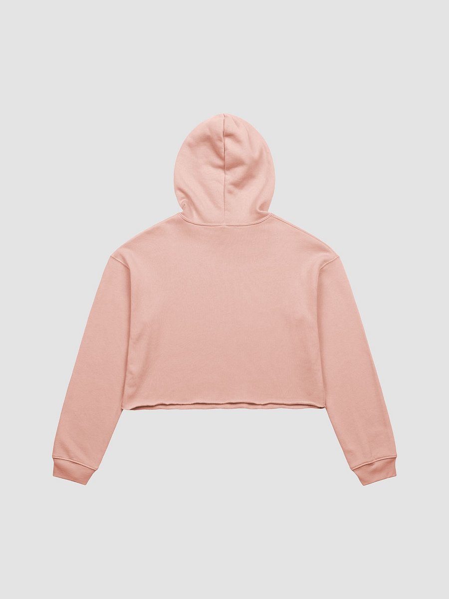Future Compost fleece crop hoodie product image (11)