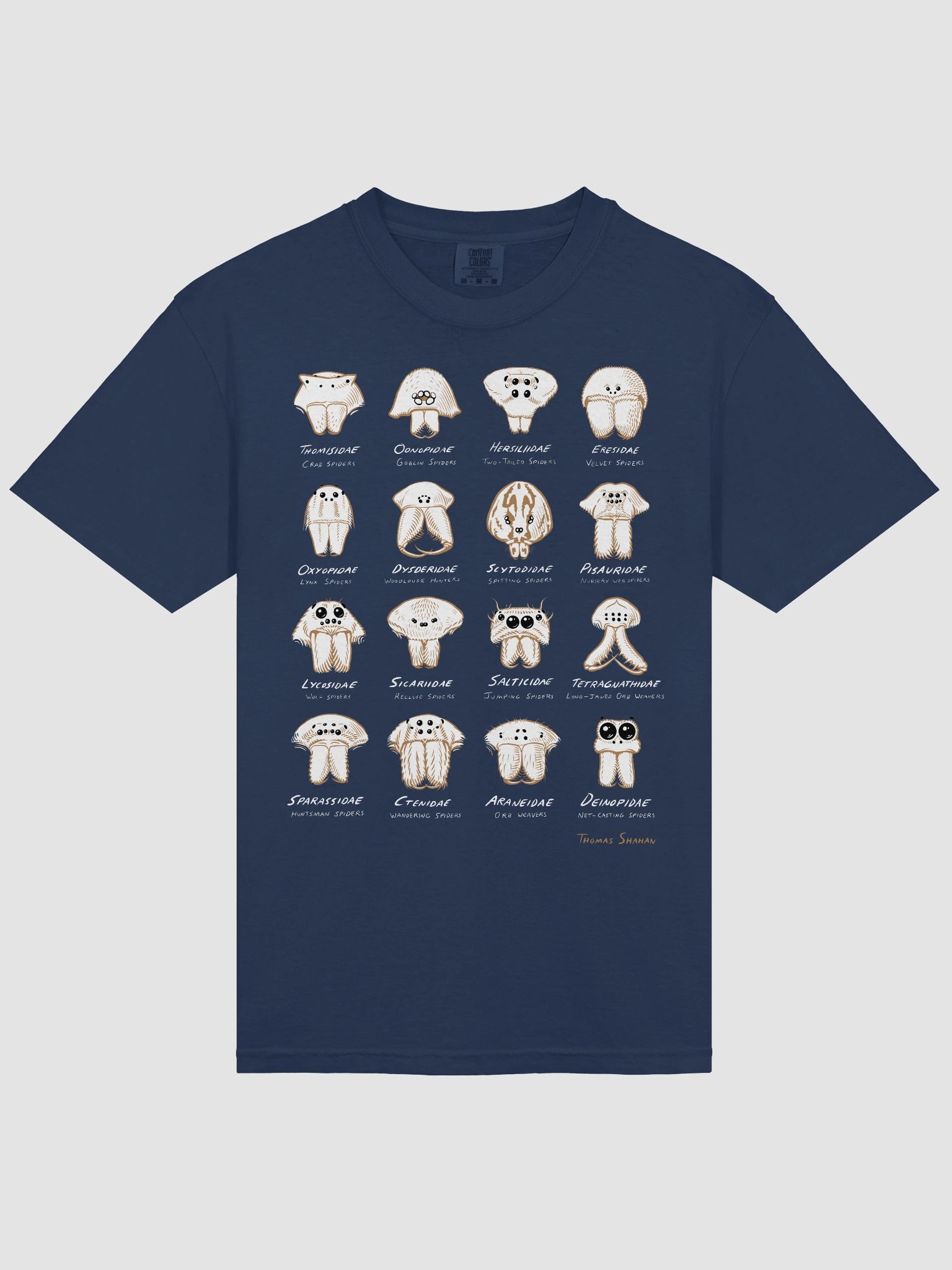 Spider Families Eye Arrangements Shirt product image (24)