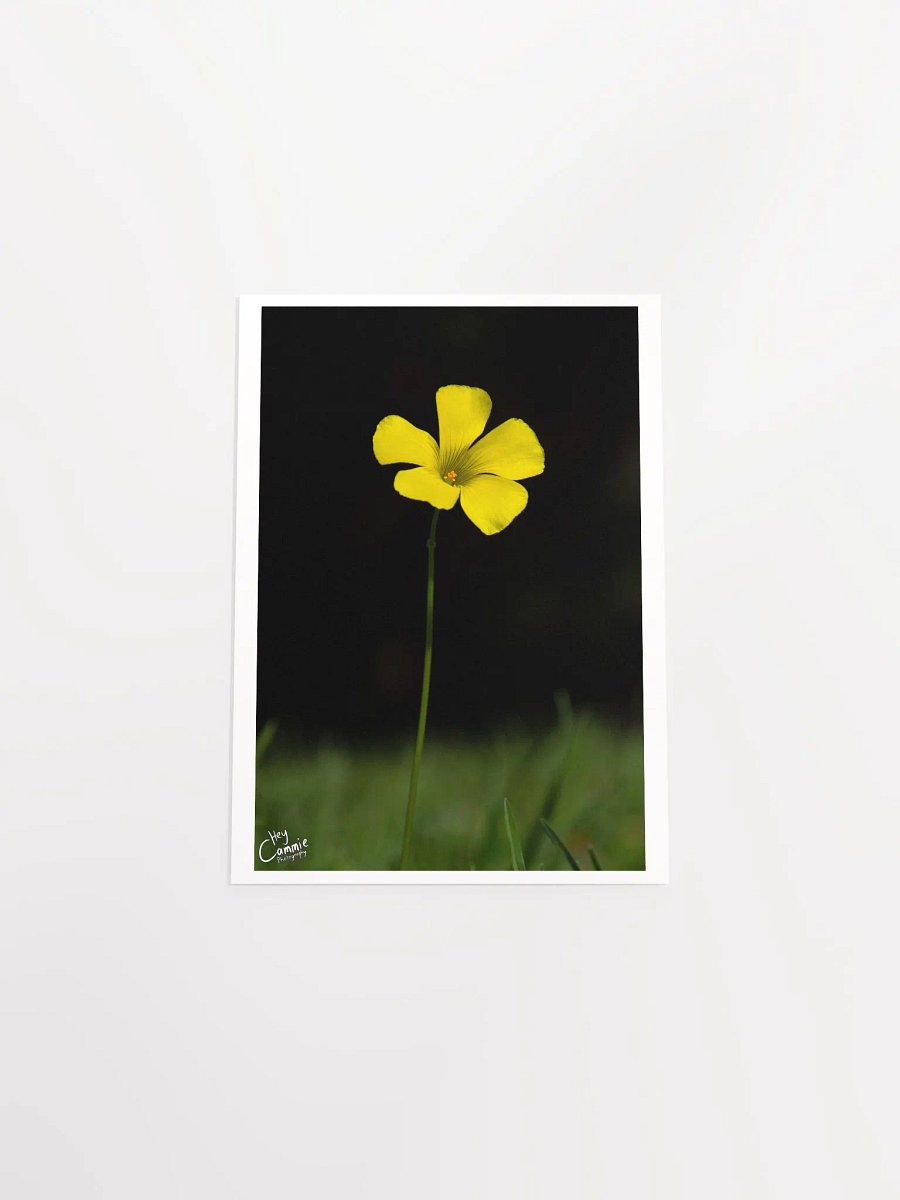 Life - Print product image (4)