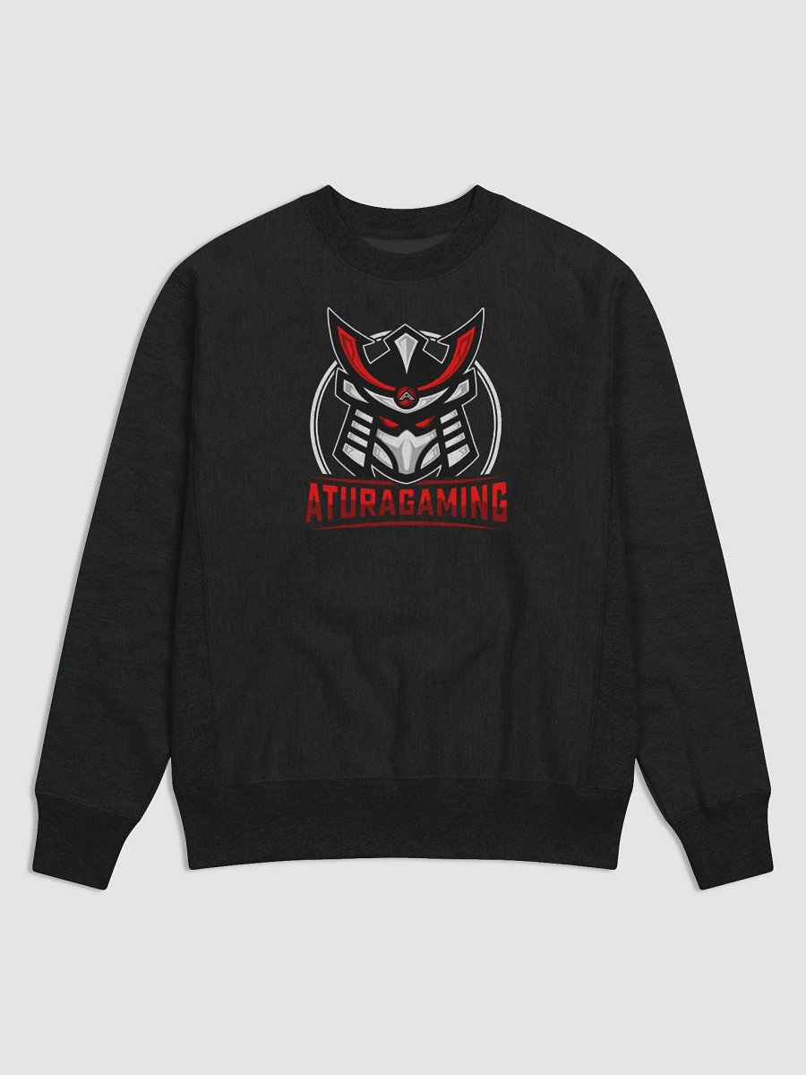 Champion Brand Atura Gaming Sweatshirt product image (1)