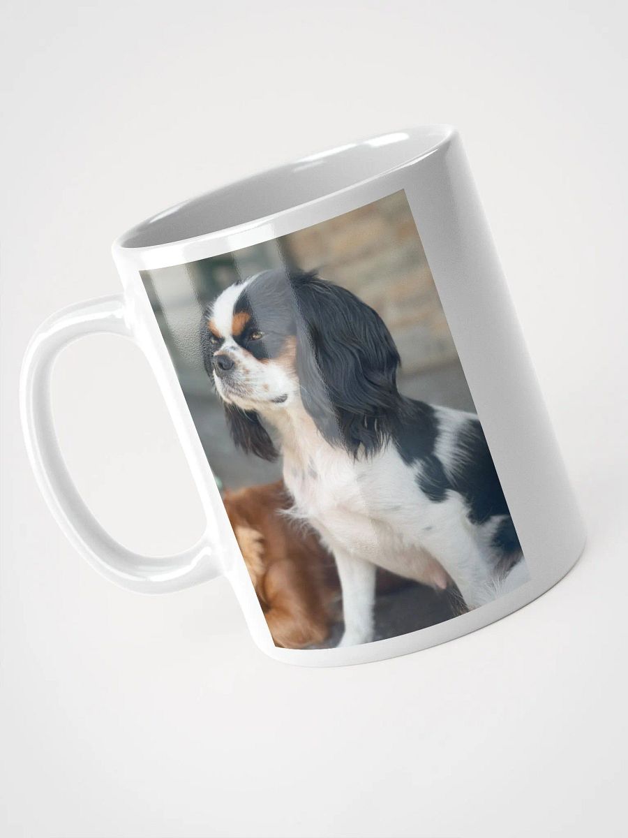 Daisy Doodle Coffee Mug 11oz product image (4)