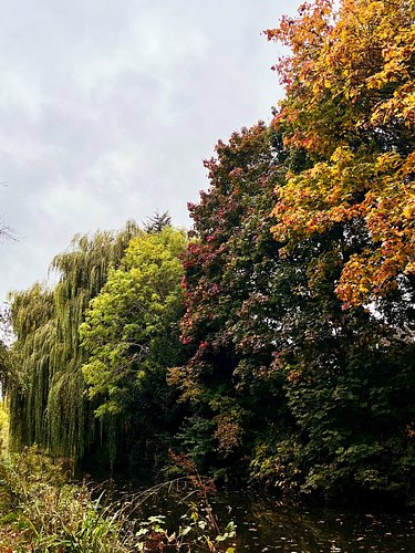 It's a beautiful Autumn day 😍🍁🍂