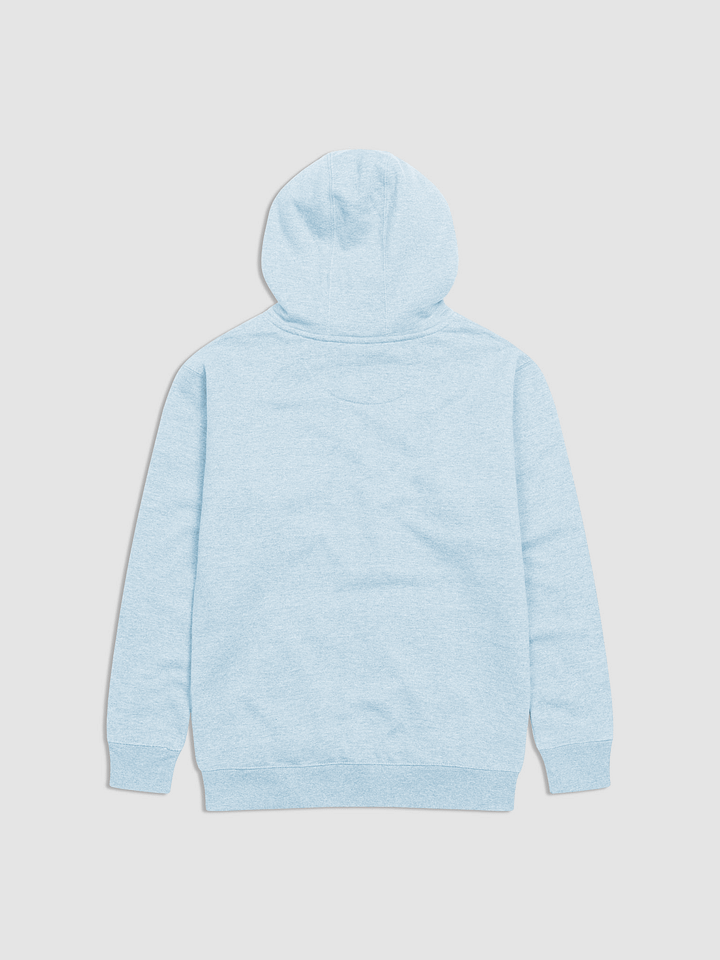 DMF House Hoodie product image (6)