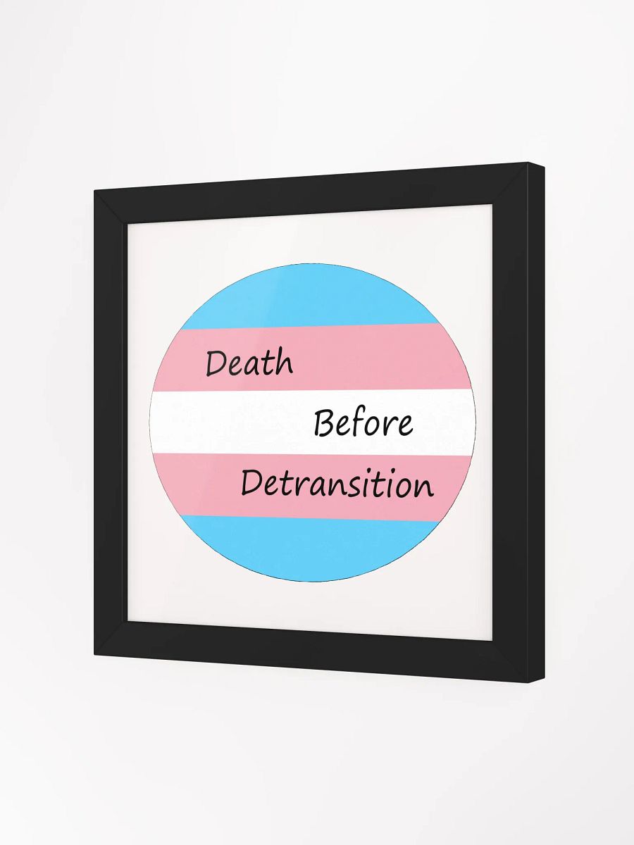 Death Before Detransition Poster product image (8)