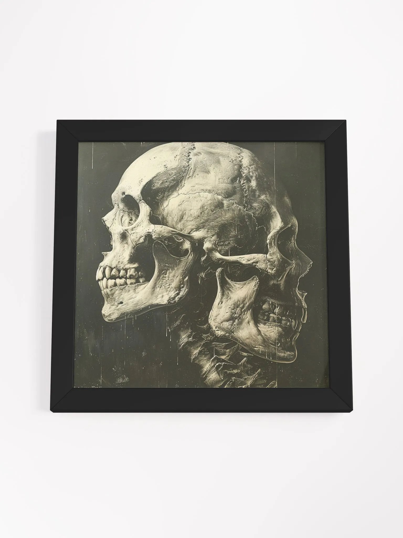 Skeleton Heads of Conjoined Twins Black and White Framed Wall Art product image (28)