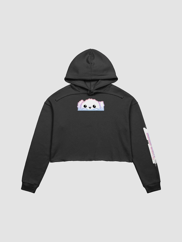 Tiny Bop Cropped Hoodie product image (2)