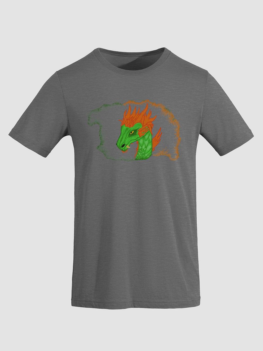 Dragon Fire Tri-Blend Tee product image (3)
