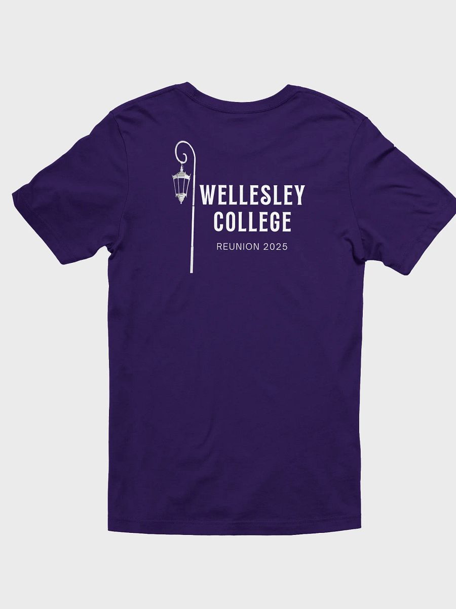 Reunion Tee with XL Wellesley College Seal product image (9)