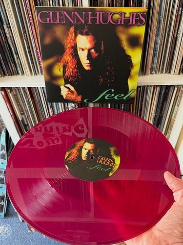 Glenn Hughes : Feel : 2LP Vinyl Edition 
One of my favourite albums by Glenn Hughes
It has the soul, the funk and the groovy ...