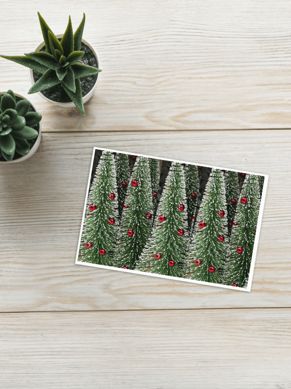 Snowy Christmas Greetings product image (5)