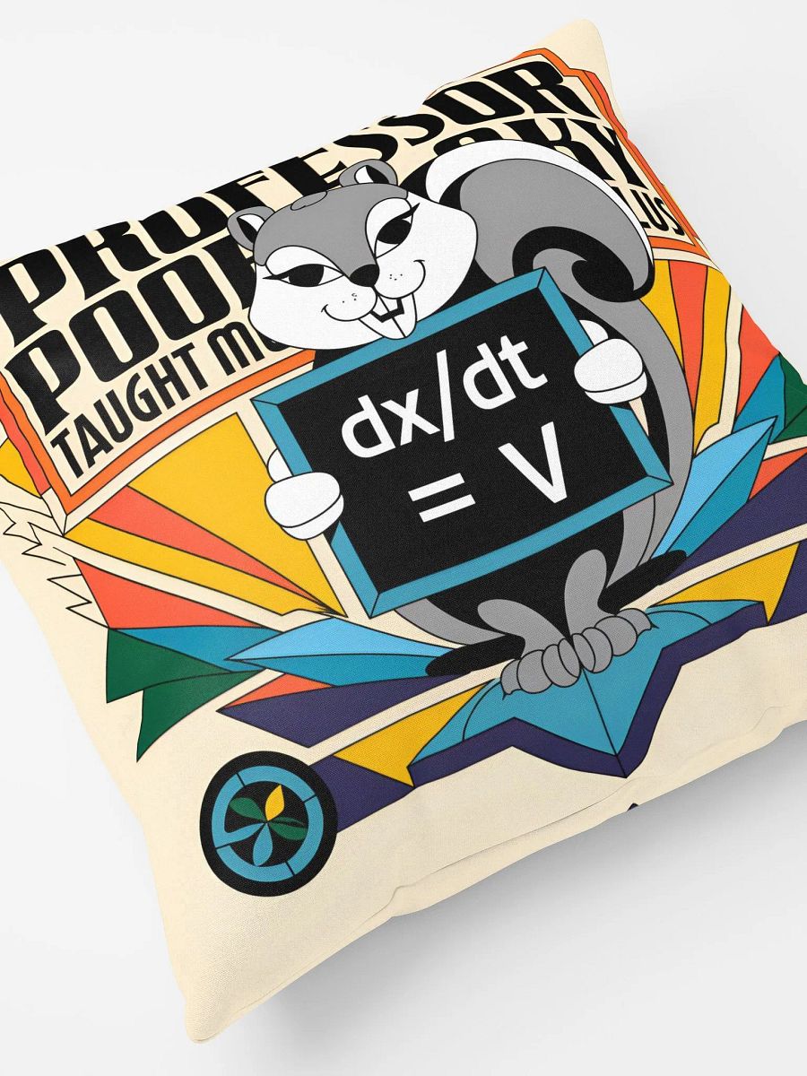 Comfy Pillow: Prof Pooky Taught Me calculus product image (7)