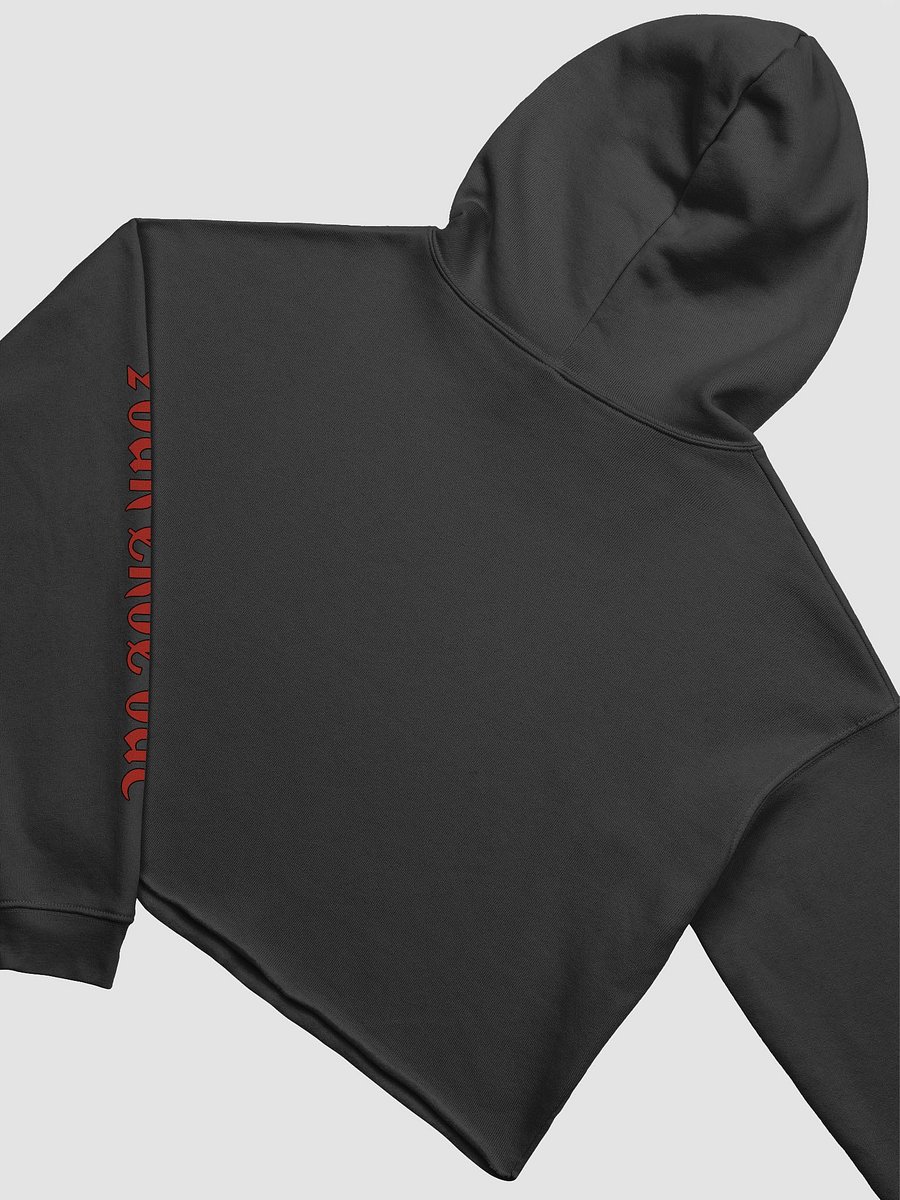 a crop hoodie very appropriate for public product image (4)