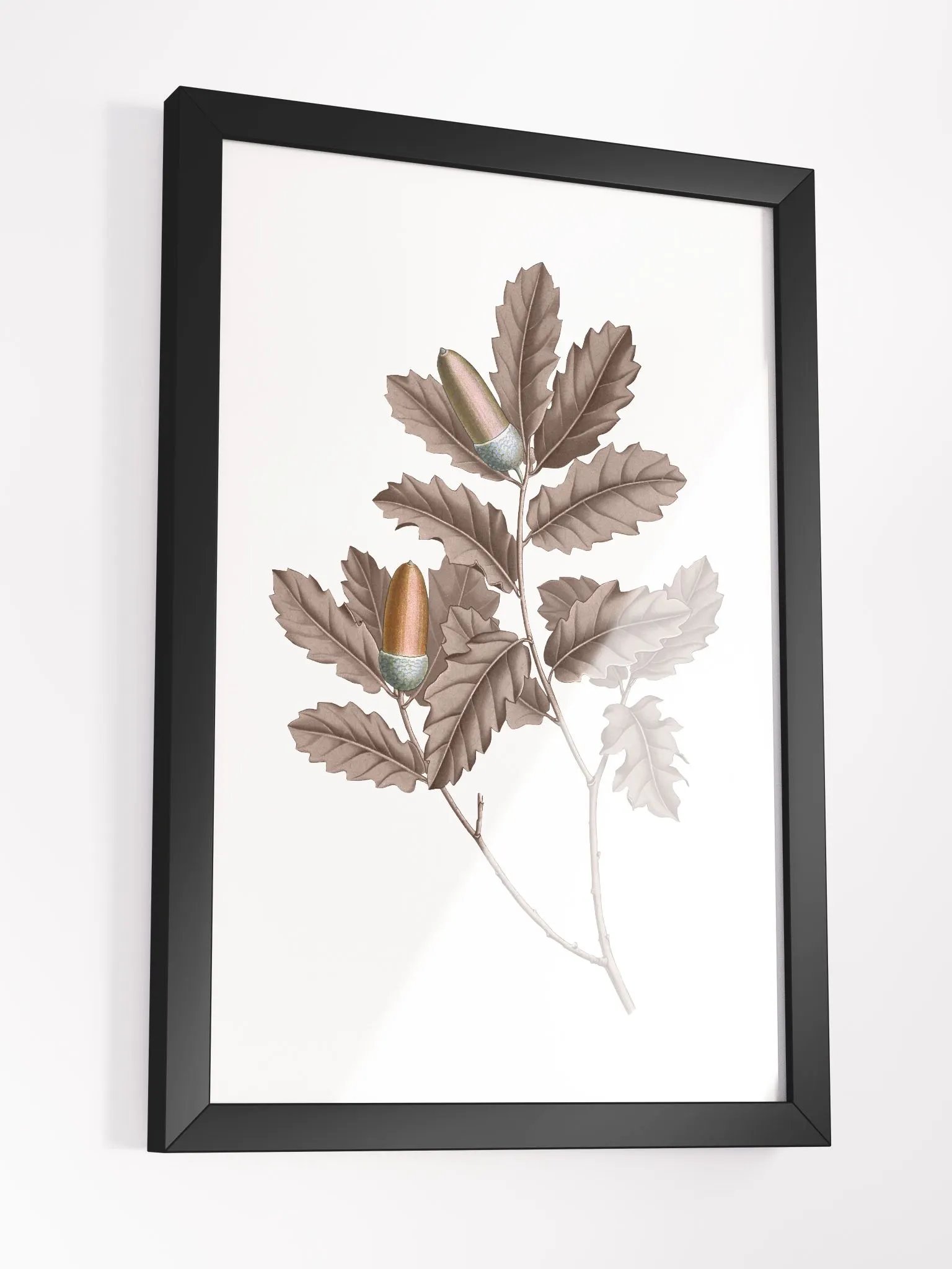 Ecotone Oak Leaves and Acorns Framed Print product image (3)