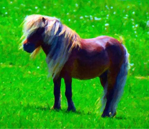 Beautiful Pony on Green Pasture Digital Product product image (1)