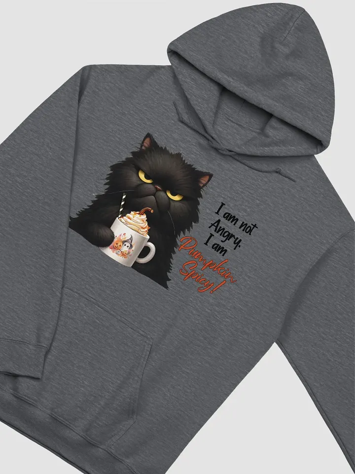 Pumpkin Spicy the hoodie product image (3)