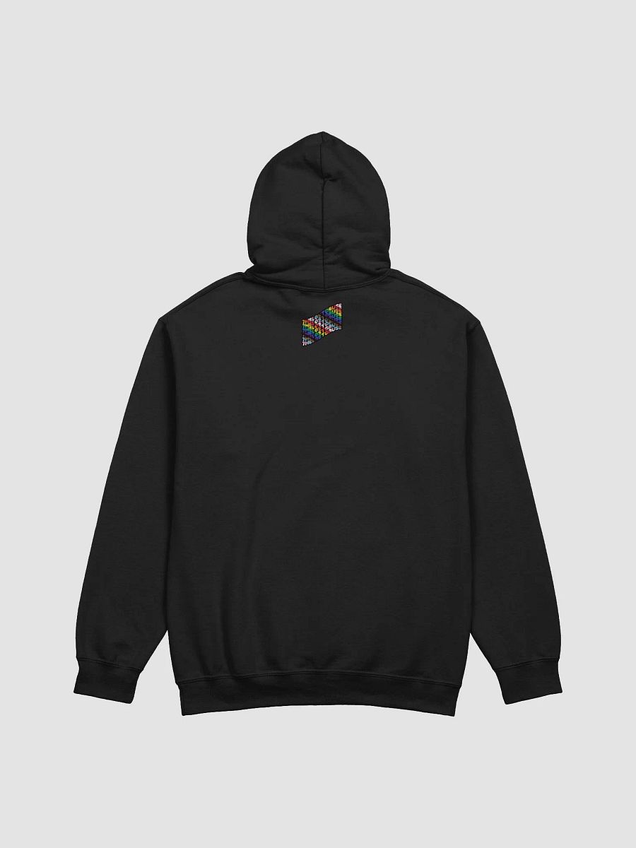 I CAN'T READ (Hoodie) product image (27)