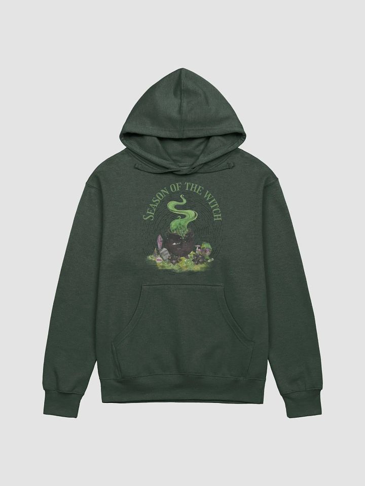 Season of the Witch Adult Hoodie product image (1)