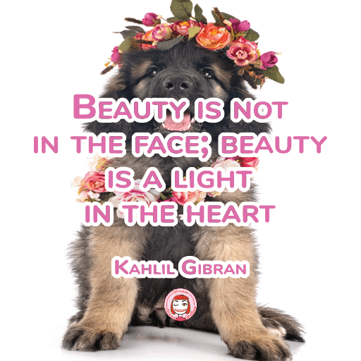 049-001 PNG 512px 300dpi RGB | Beauty is not in the face; beau product image (1)