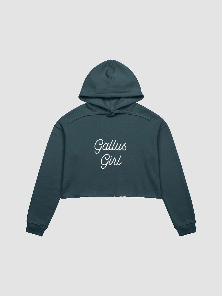 Gallus Ladies Hoodie product image (1)