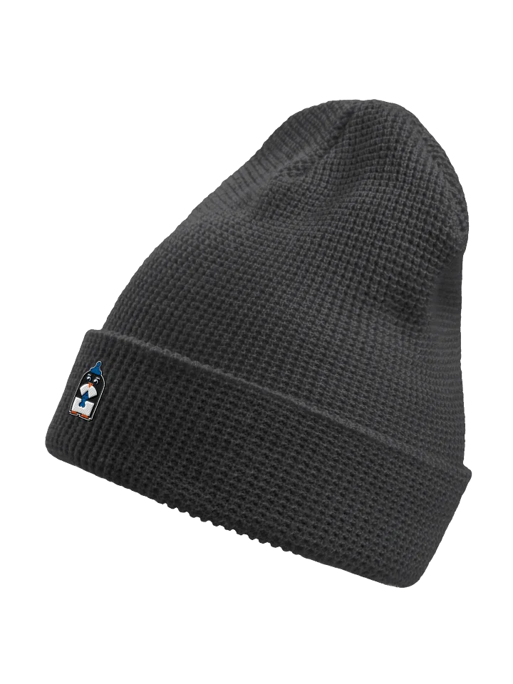 Geometric Penguin With A Fish Waffle Beanie product image (8)