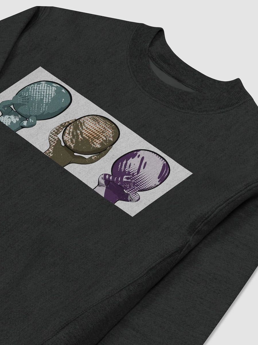 See Hear Speak Champion Pullover (B) product image (3)