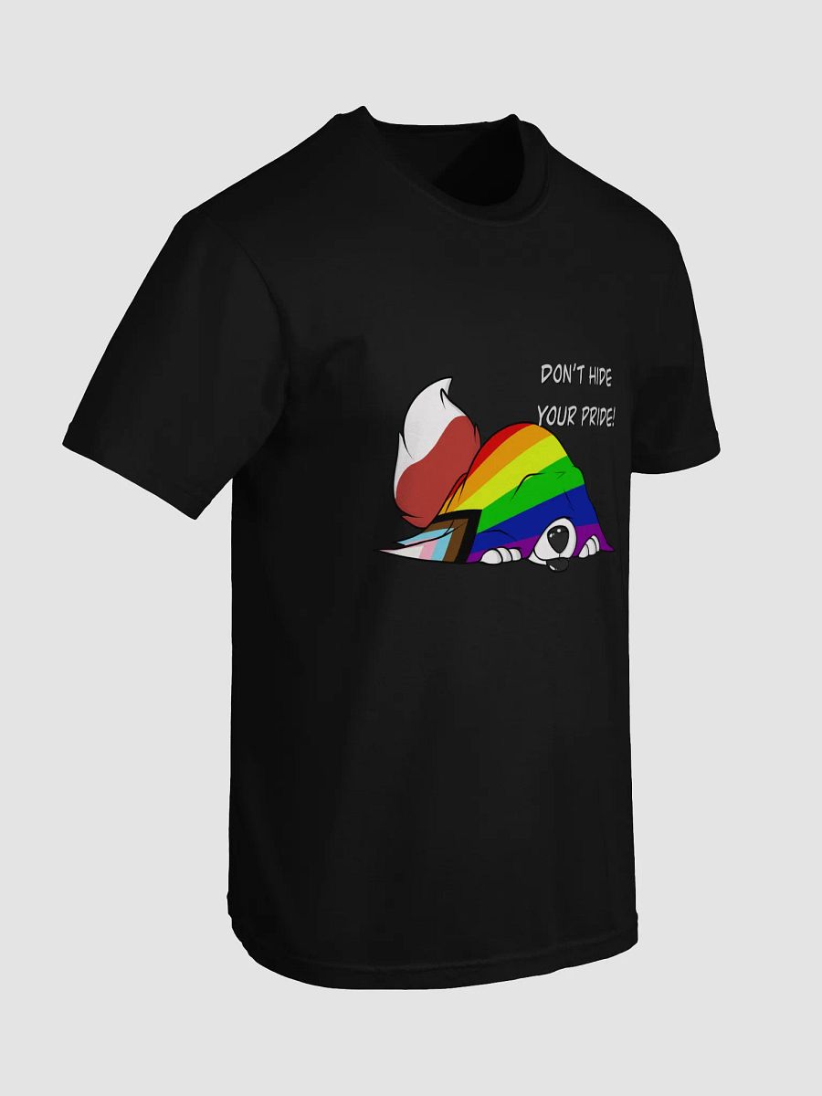 Dont Hide YOUR PRIDE!!! product image (7)