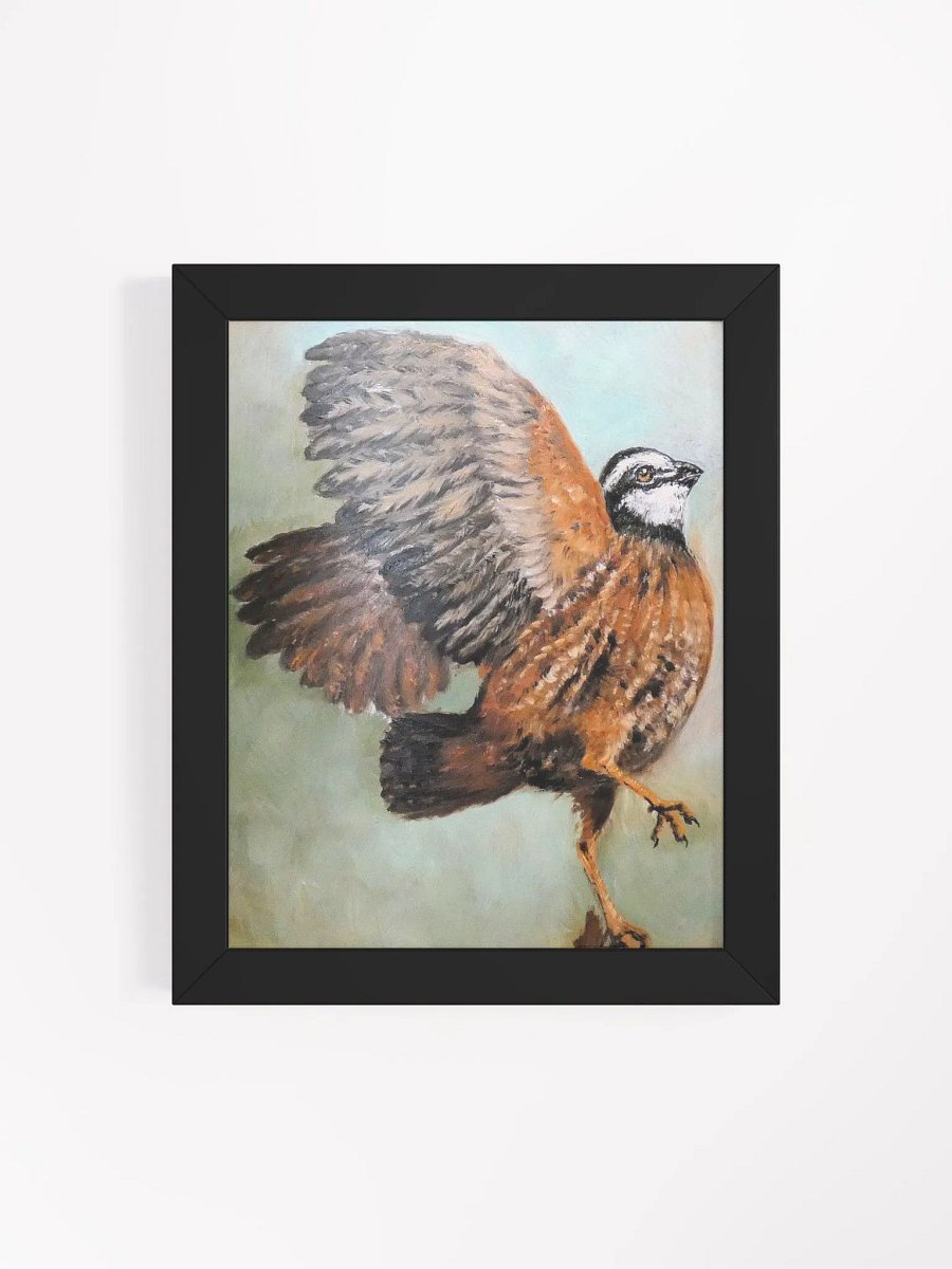 Bobwhite Quail product image (23)