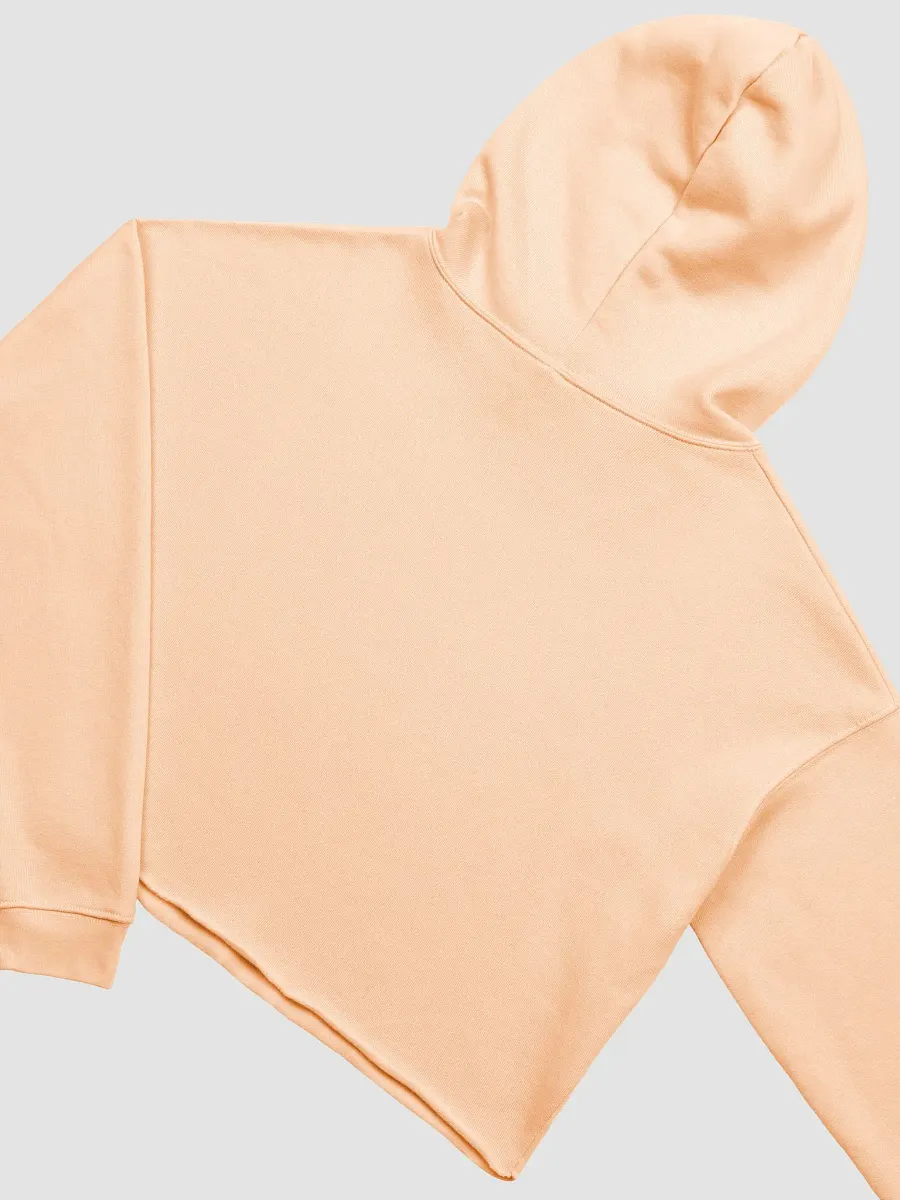 FYF crop hoodie product image (10)