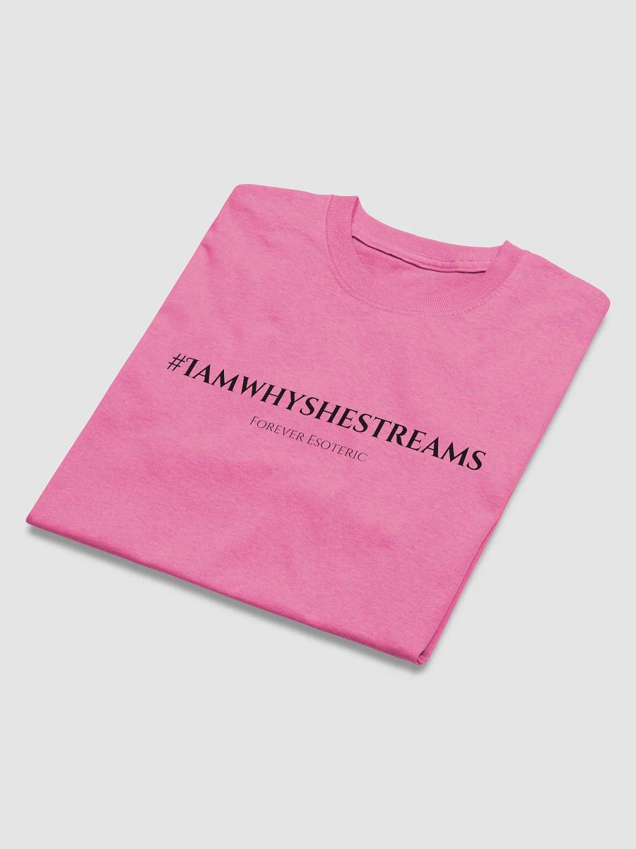 IAWSS Tee (Black Text) product image (42)