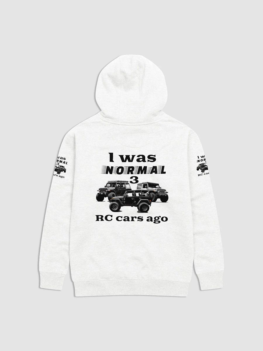 Premium Hoodie by Cotton Heritage 2580/ 3 RC Cars Ago product image (2)