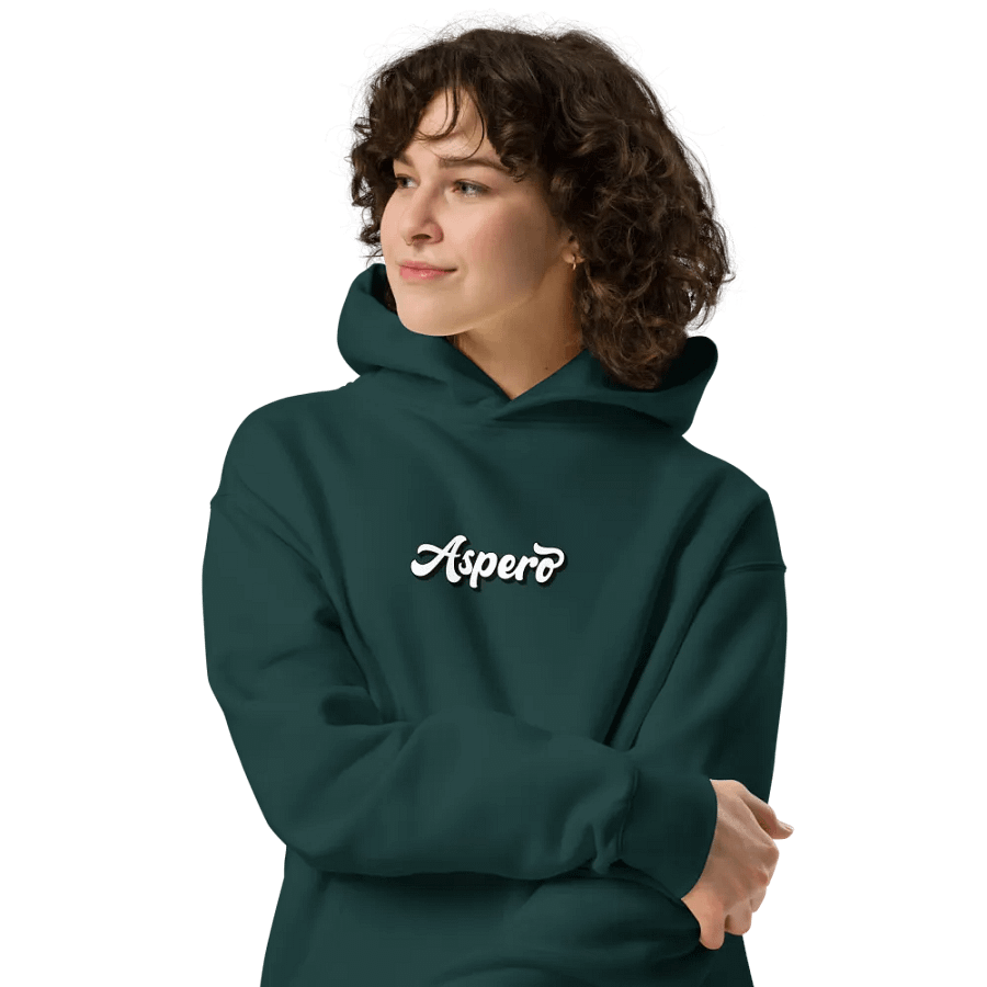 Aspero AS Colour Unisex Premium Oversized Hoodie product image (26)