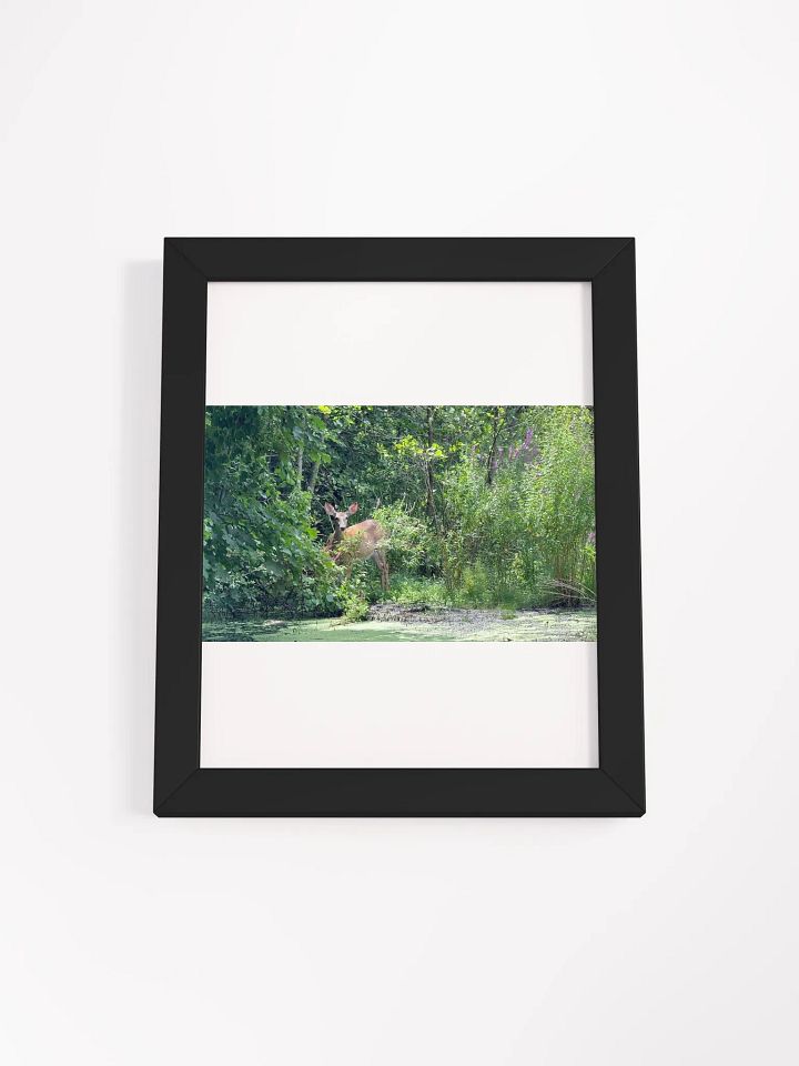 Deer In The Wild print product image (5)