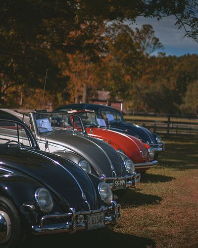 Gotta love a good bug!
.
.
.
.
.
.
.
.
.
.
.
.
.
.
.
#volkswagen #bug #vw #sony #somyalpha #sonya6000 #a6000 #moltobella #ado...