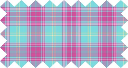 Hot Pink and Aqua Plaid (CO05)