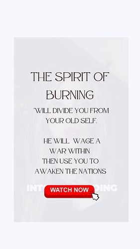 The Spirit of Burning: Dividing, Purifying, Fulfilling Prophecy. 🔥
#burningmessengers #endtimes #holyspirit #prophecy #buring...