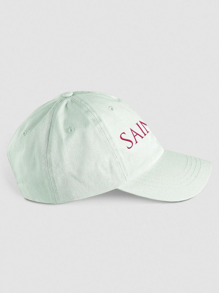 SAINTLIKE HAT MUTED product image (4)